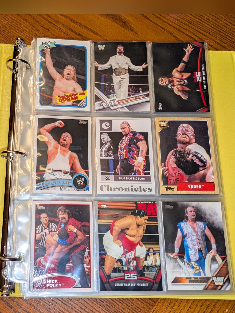 WWE Wrestling Legends Trading Cards Binder Collection 🏆 100 WWE Cards Lot